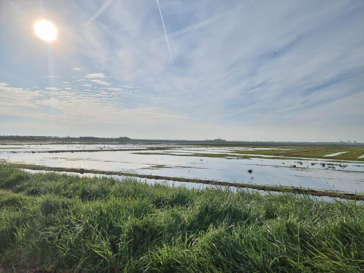 Very In Durgerdam, With Private Garden, Free Parking, Pets Allowed Vakantiehuis